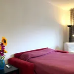 Rent 1 bedroom apartment in Milan