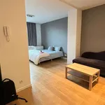 Rent 1 bedroom apartment in brussels