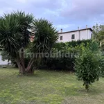 Rent 3 bedroom house of 85 m² in Pisa