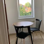 Rent 2 bedroom apartment of 50 m² in Poznan