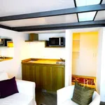 Rent 1 bedroom apartment of 32 m² in Praha