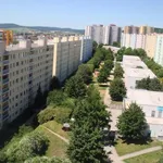 Rent 1 bedroom apartment of 48 m² in Brno