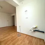 Miete 2 Schlafzimmer wohnung von 46 m² in Graz