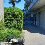 Rent 2 bedroom apartment of 50 m² in Pescara