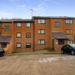 Rent 1 bedroom apartment in East Of England