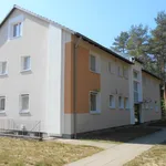 Rent 4 bedroom apartment of 81 m² in Celle