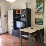 Rent 1 bedroom apartment in Porto Viro