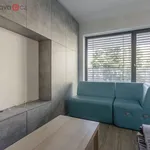 Rent 1 bedroom apartment of 23 m² in Trhový Štěpánov