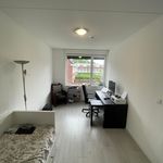 Huur 5 slaapkamer huis van 160 m² in Tongelresche Akkers