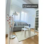 Rent 1 bedroom apartment in Madrid