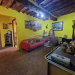 Rent 3 bedroom apartment of 80 m² in Capannori