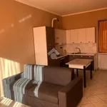 Rent 1 bedroom apartment of 35 m² in San Maurizio Canavese