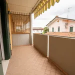 Rent a room of 150 m² in Legnaro