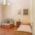 Rent 3 bedroom apartment of 83 m² in Roma