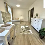 Rent 1 bedroom apartment in Kolín