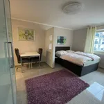 Rent 1 bedroom apartment of 25 m² in Hanover