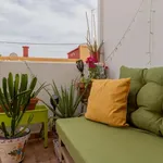 Rent 2 bedroom apartment of 60 m² in valencia