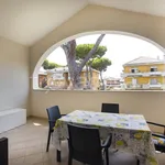 Rent 4 bedroom apartment of 80 m² in Grosseto