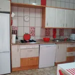 Rent 1 bedroom apartment in cadiz