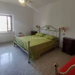 Rent 4 bedroom apartment of 100 m² in Senigallia