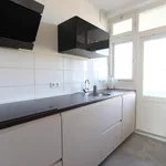 Rent 6 bedroom apartment of 61 m² in Wyckerpoort