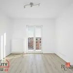 Rent 1 bedroom apartment in Kladno