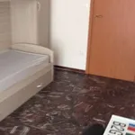 Rent a room of 120 m² in bologna