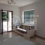 Rent 2 bedroom apartment of 82 m² in Roma