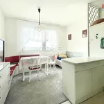 Rent 1 bedroom apartment in Plzeň