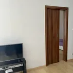 Pronajměte si 1 ložnic/e byt o rozloze 60 m² v Prague