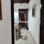 Rent 4 bedroom house of 104 m² in Marsala