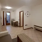 Rent 1 bedroom apartment of 60 m² in Carbonera