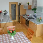 Rent 4 bedroom apartment of 141 m² in Prague