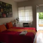 Rent 5 bedroom apartment in Lisbon