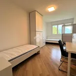 Rent 4 bedroom apartment of 90 m² in Trento