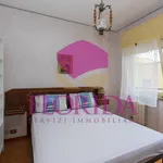 Rent 3 bedroom apartment of 62 m² in Roma