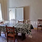 Rent 3 bedroom apartment of 80 m² in Siena