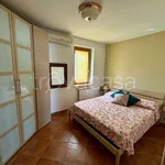 Rent 2 bedroom apartment of 65 m² in San Salvo