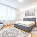 Rent 2 bedroom apartment of 115 m² in Zagreb