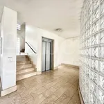 Rent 3 bedroom apartment of 79 m² in Torino