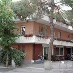 2-room flat via Risorgimento 17A, Cattolica