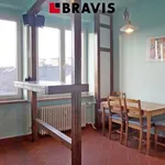 Rent 1 bedroom apartment of 49 m² in Brno