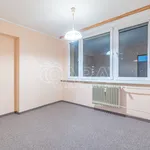 Rent 2 bedroom apartment in Mělník