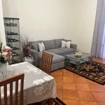 Rent 5 bedroom apartment of 100 m² in Roma