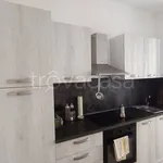 Rent 2 bedroom apartment of 65 m² in Mantova