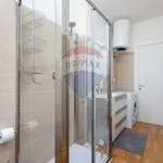 Rent 2 bedroom apartment of 70 m² in Torino