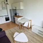 Rent 2 bedroom apartment of 30 m² in Gorzów Wielkopolski