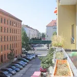 Rent 4 bedroom apartment of 80 m² in Berlin