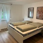 Miete 3 Schlafzimmer wohnung von 55 m² in Hanau