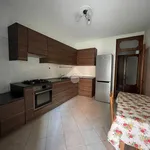 Rent 4 bedroom apartment in Padova